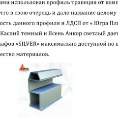 Шкаф-купе 1950 серии SILVER S5+S1+S5 B22+PL2 (по 2 ящика лев/прав+1 штанга+1 полка) профиль «Серебро» | фото 16