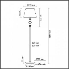 Торшер Odeon Light Sochi 4896/1F | фото 4