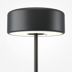 Настольная лампа декоративная Maytoni AI Collaboration MOD229TL-L3B3K2 | фото 4