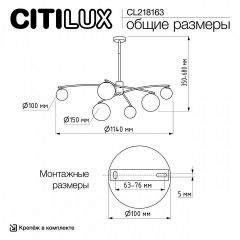 Люстра на штанге Citilux Fisher CL218163 | фото 10